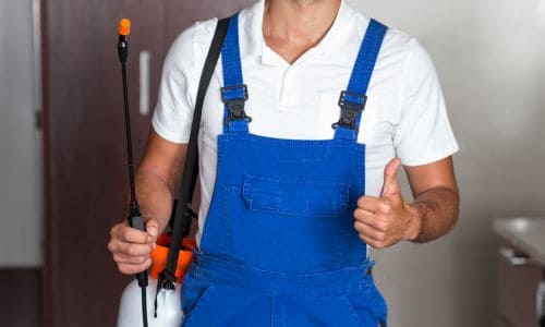 Contacter Kill-Pest Pro