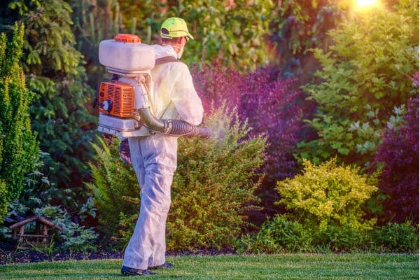 Traitements antiparasitaires domestique selon les saisons